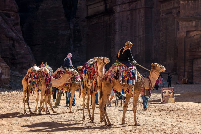 Petra Jordan